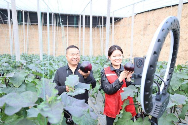 夏荫润民生 初心绘振兴