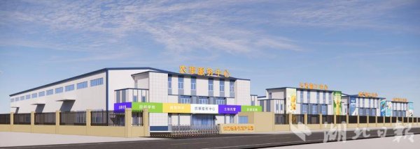 手机下单、北斗种地、每亩增收260元！武汉经开区“田保姆”模式年底启用