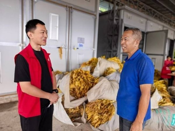 “我为烟农办实事” 助农增收显担当