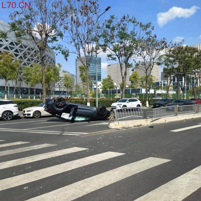 男子试乘特斯拉遭销售操作不当翻车