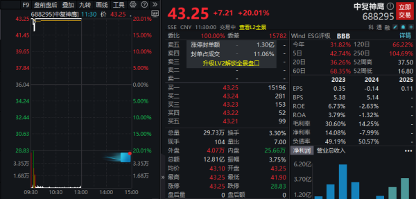 中国造出“世界最强”！中复神鹰，迎来上市后首个涨停