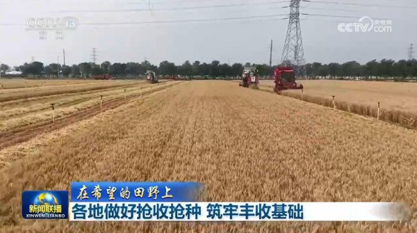 [在希望的田野上]各地做好抢收抢种 筑牢丰收基础