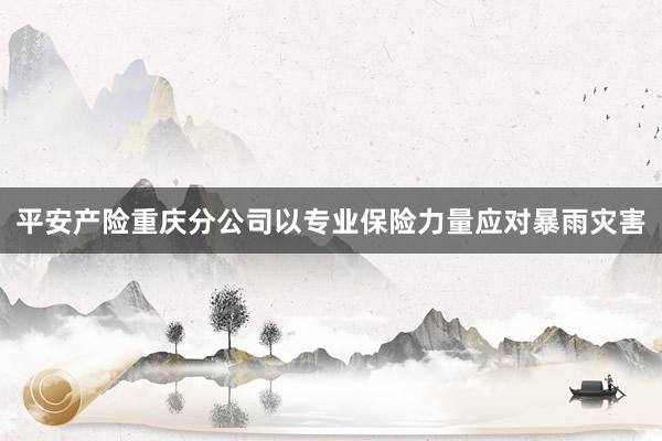 平安产险重庆分公司以专业保险力量应对暴雨灾害