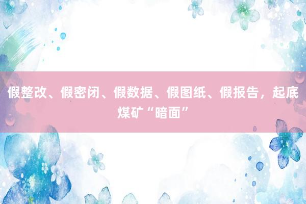假整改、假密闭、假数据、假图纸、假报告，起底煤矿“暗面”