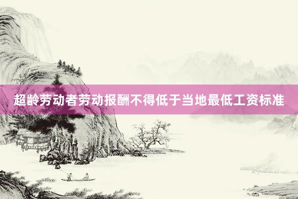 超龄劳动者劳动报酬不得低于当地最低工资标准
