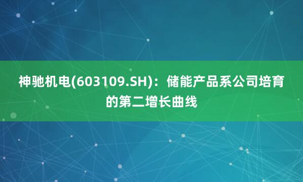 神驰机电(603109.SH)：储能产品系公司培育的第二增长曲线
