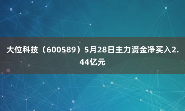 大位科技（600589）5月28日主力资金净买入2.44亿元