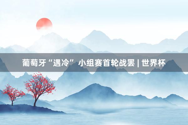 葡萄牙“遇冷” 小组赛首轮战罢 | 世界杯