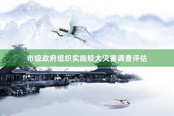 市级政府组织实施较大灾害调查评估