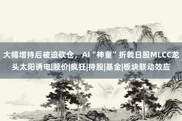 大幅增持后被迫砍仓，AI“神童”折戟日股MLCC龙头太阳诱电|股价|疯狂|持股|基金|板块联动效应