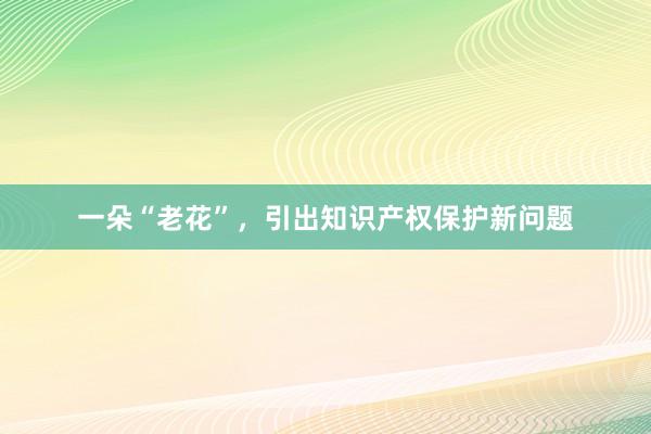 一朵“老花”，引出知识产权保护新问题