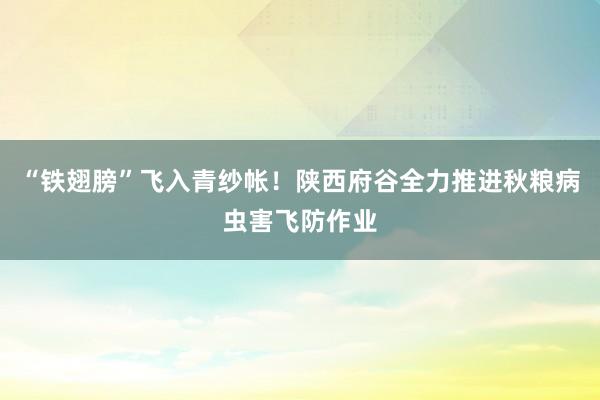 “铁翅膀”飞入青纱帐！陕西府谷全力推进秋粮病虫害飞防作业