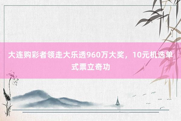 大连购彩者领走大乐透960万大奖，10元机选单式票立奇功