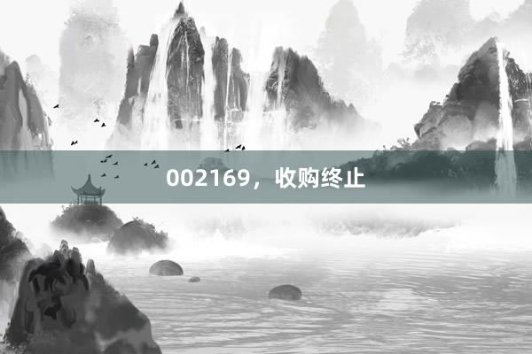 002169，收购终止