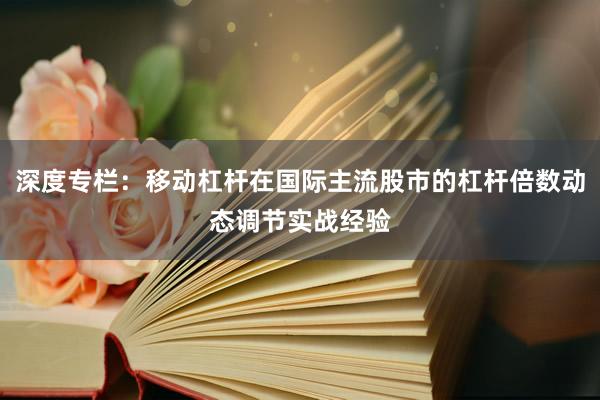 深度专栏：移动杠杆在国际主流股市的杠杆倍数动态调节实战经验