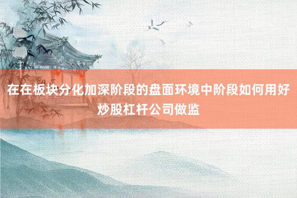 在在板块分化加深阶段的盘面环境中阶段如何用好炒股杠杆公司做监