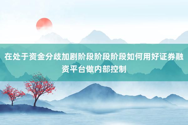 在处于资金分歧加剧阶段阶段阶段如何用好证券融资平台做内部控制