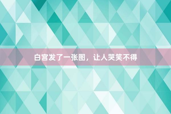 白宫发了一张图，让人哭笑不得