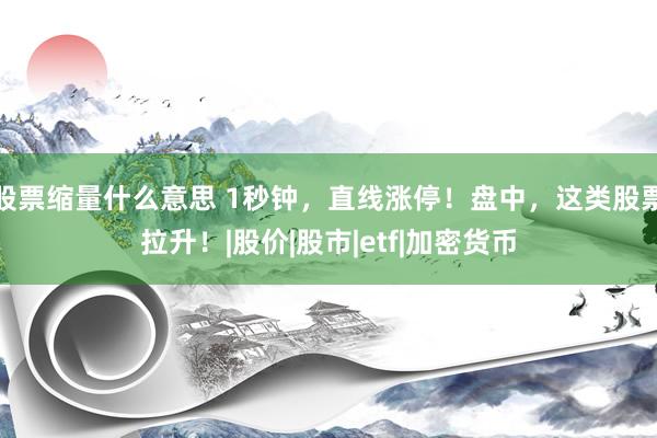 股票缩量什么意思 1秒钟,直线涨停!盘中,这类股票拉升!|股价|股市|etf|加密货币