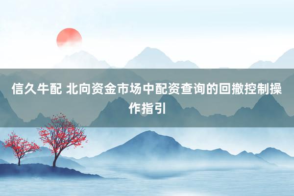 信久牛配 北向资金市场中配资查询的回撤控制操作指引