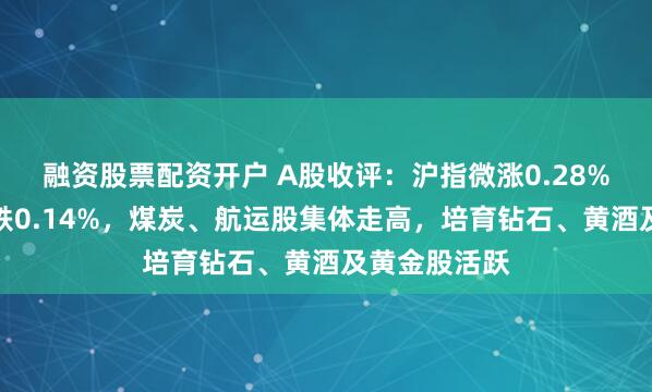 融资股票配资开户 A股收评：沪指微涨0.28%、创业板指跌0.14%，煤炭、航运股集体走高，培育钻石、黄酒及黄金股活跃