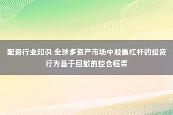 配资行业知识 全球多资产市场中股票杠杆的投资行为基于回撤的控仓框架